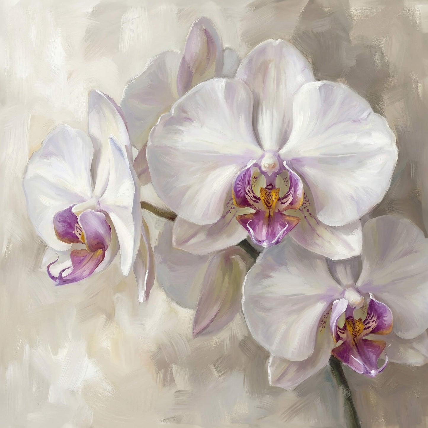 Orchid Elegance, Canvas Print, 82 × 82cm