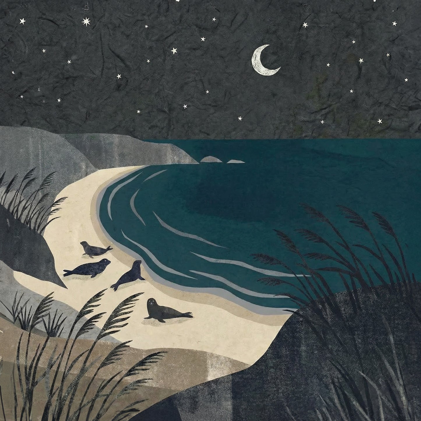 Seals by Starlight, Canvas Print, 82 × 82cm