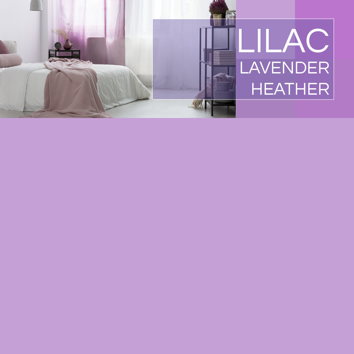 Colours: Lilac