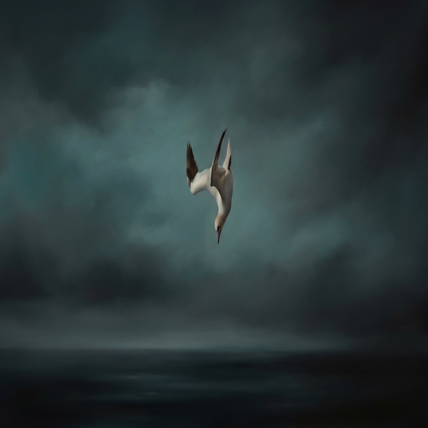 Midnight Dive, Canvas Print, 82 × 82cm